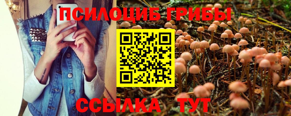 Псилоцибиновые грибы Cubensis  Вход с VPN  Елабуга 