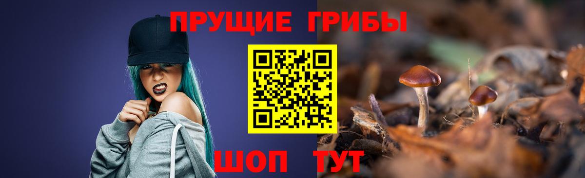 Галлюциногенные грибы Psilocybine cubensis Елабуга